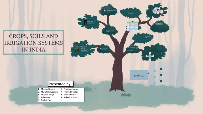Agriculture by Prince Kumar on Prezi