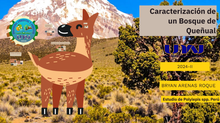 Caracterización de un Bosque de Queñual by BRYAN ARENAS ROQUE on Prezi