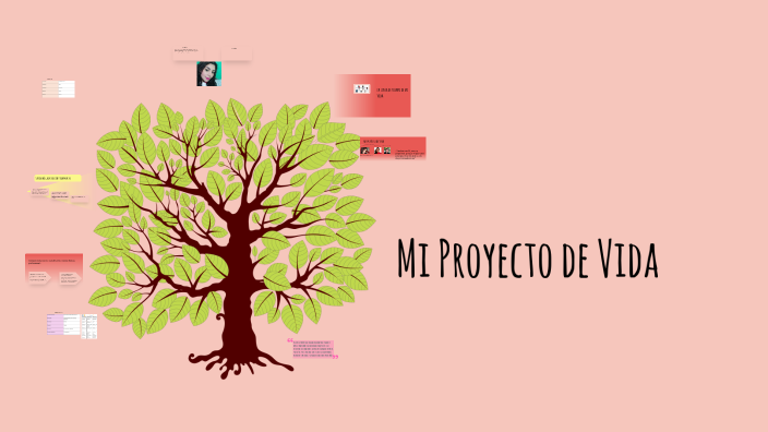 Mi Proyecto de Vida by Linares Nohemi on Prezi