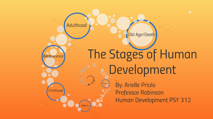 The Stages of Human Development by Arielle Priolo on Prezi