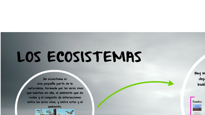 ECOSISTEMAS by Andrea Polo on Prezi