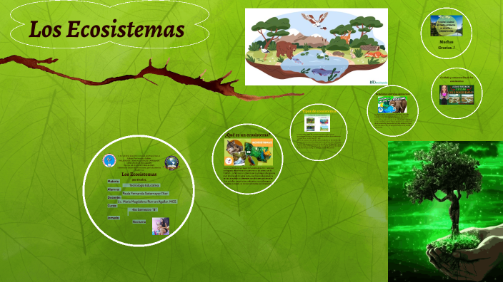 Los Ecosistemas by Pafer Sotodias on Prezi