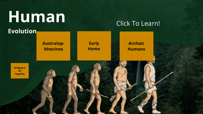 Human Evolution by Erich Heinz on Prezi