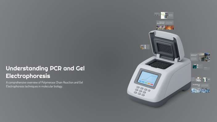 Understanding PCR and Gel Electrophoresis by Dekan Ali on Prezi