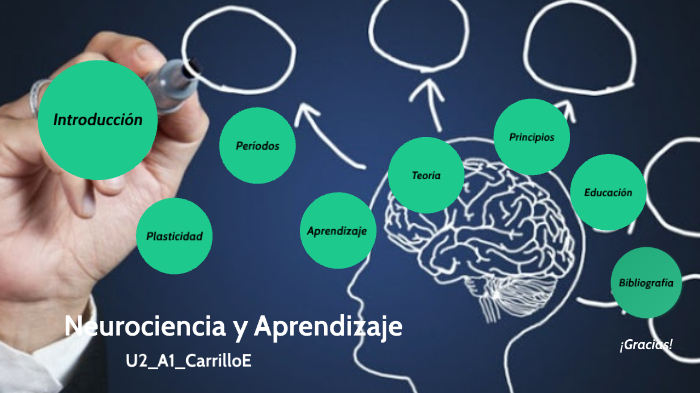 Neurociencia Y Aprendizaje By Elder Carrillo On Prezi