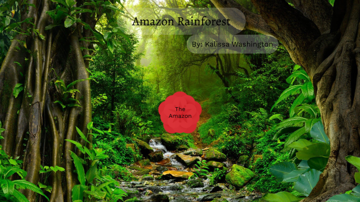 The Amazon by Kalissa Washington on Prezi