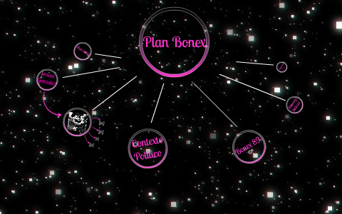 Plan Bonex by Alejandra Ponce