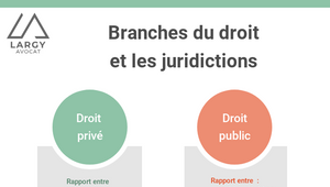 branches du droit & juridictions by Marine Largy on Prezi Design