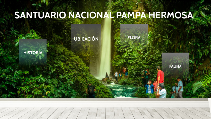 SANTUARIO NACIONAL PAMPA HERMOSA By Johan Cachay Cardenas On Prezi