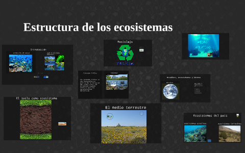 Estructura de los ecosistemas by Pedro Estrella