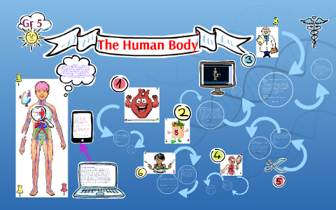THE HUMAN BODY by Cristiana Gomes on Prezi