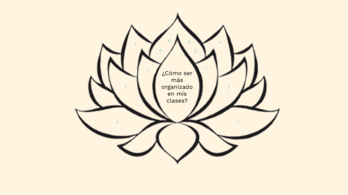 FLOR DE LOTO by Santiago Delgado on Prezi