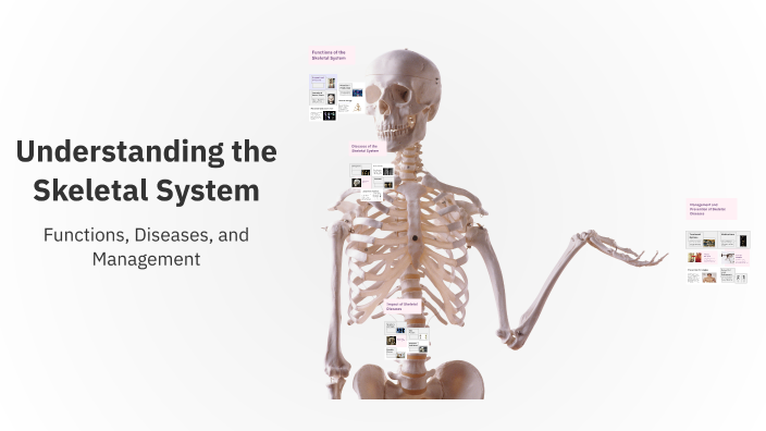 Understanding the Skeletal System by zaid takriti on Prezi