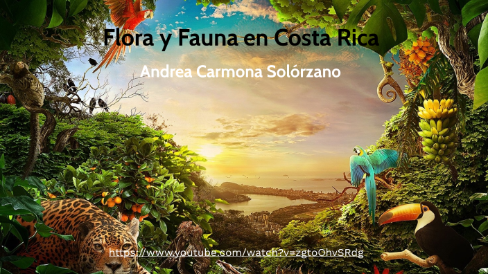 Flora y Fauna en Costa Rica by Andrea Carmona on Prezi