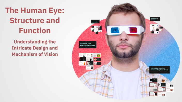 The Human Eye Structure And Function By Devesh Thakuer On Prezi