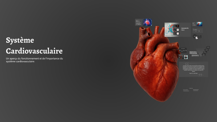 Système Cardiovasculaire by AFFAE ENFASE on Prezi