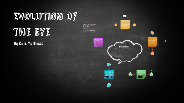 Evolution Of The Eye By Kate M. On Prezi