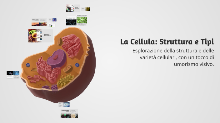 La Cellula: Struttura e Tipi by gabriele floresta on Prezi