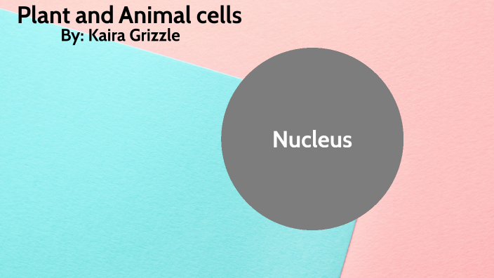 Animal and Plant Cells project by Kaira Peachfelder on Prezi