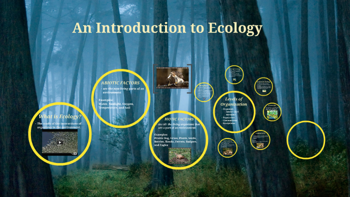 Introduction To Ecology By On Prezi