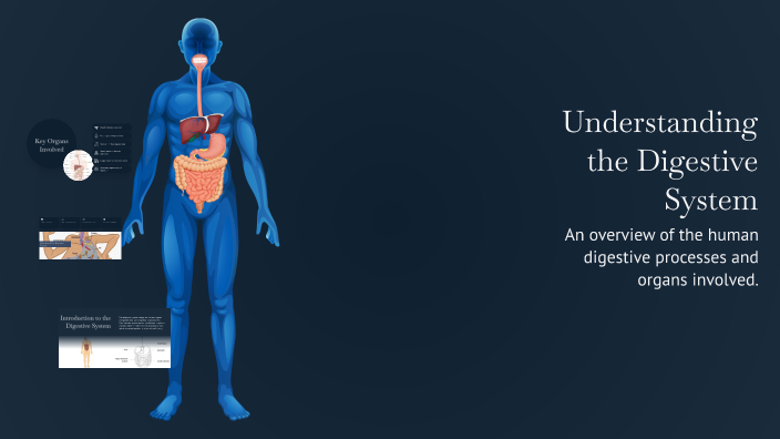 Understanding the Digestive System by Andrew Pye on Prezi