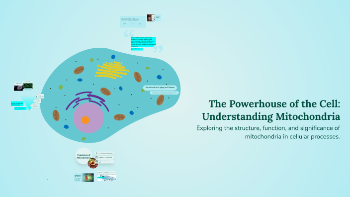 The Powerhouse of the Cell: Understanding Mitochondria by uzma noreen ...