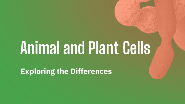 Animal and Plant Cells by Isabella Pepe on Prezi