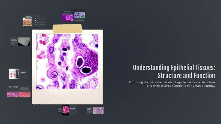 Understanding Epithelial Tissues: Structure and Function by Tasneem ...