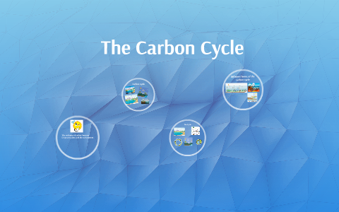 The Carbon Cycle by Candace Black on Prezi