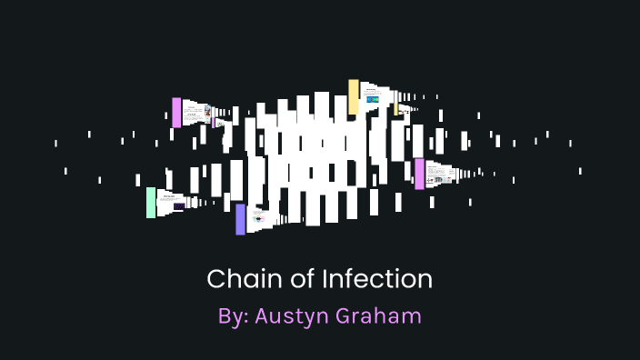 Chain of Infection Presentation by Austyn Graham on Prezi