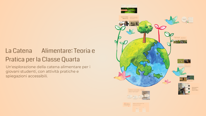 La Catena Alimentare: Teoria e Pratica per la Classe Quarta by ...