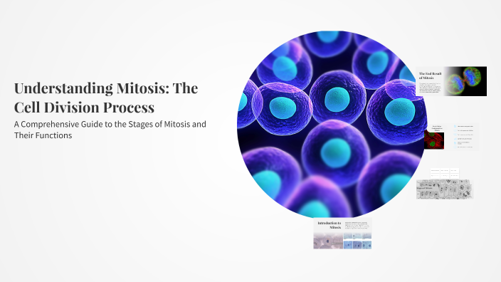 Understanding Mitosis: The Cell Division Process by Aaron Bernabe on Prezi