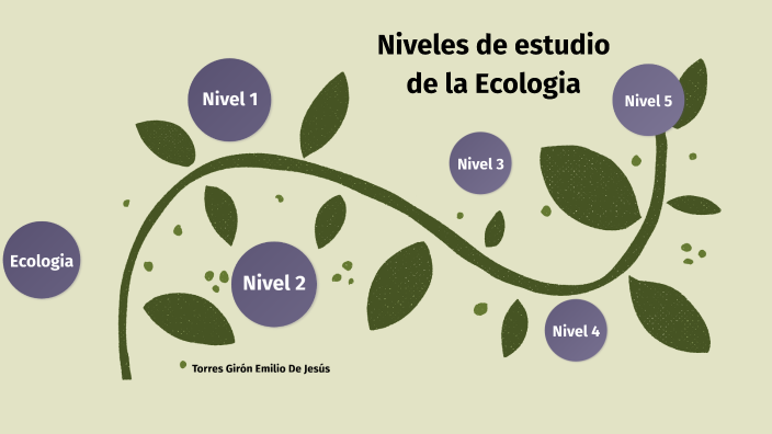 Niveles De Estudio Eco. By Emilio Torres On Prezi