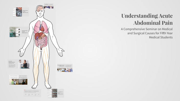 Understanding Acute Abdominal Pain by Lina Hesha on Prezi