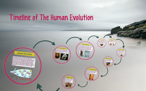 Timeline of The Human Evolution by Troy Acierto on Prezi