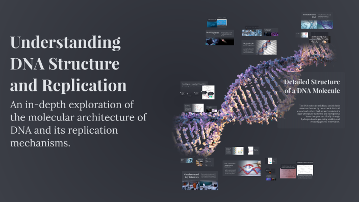 Understanding DNA Structure and Replication by Jordan Lyons on Prezi