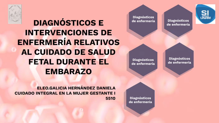 DIAGNÓSTICOS E INTERVENCIONES DE ENFERMERÍA RELATIVOS AL CUIDADO DE