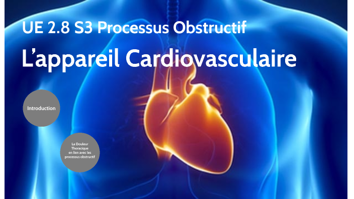 UE 2.8 S3 Processus Obstructif L’appareil Cardiovasculaire by Jonathan Niel