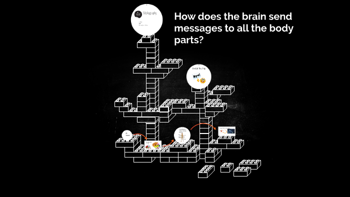 how-does-the-brain-send-messages-to-the-body-parts-by-sarah-dean-on