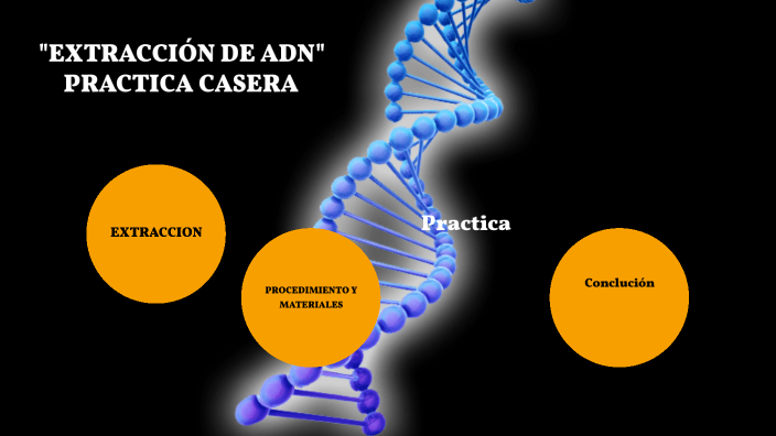 ExtracciÓn De Adn By Raul Lizardi S On Prezi 