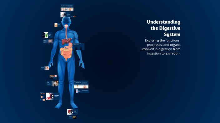 Understanding the Digestive System by John Allen Sarmiento on Prezi