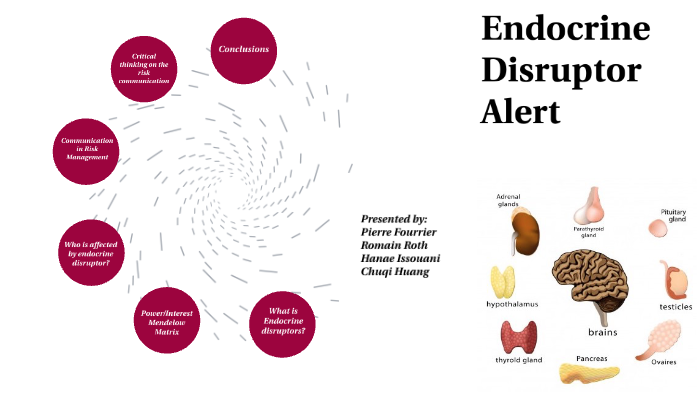 Endocrine Disruptor Alert by C H on Prezi