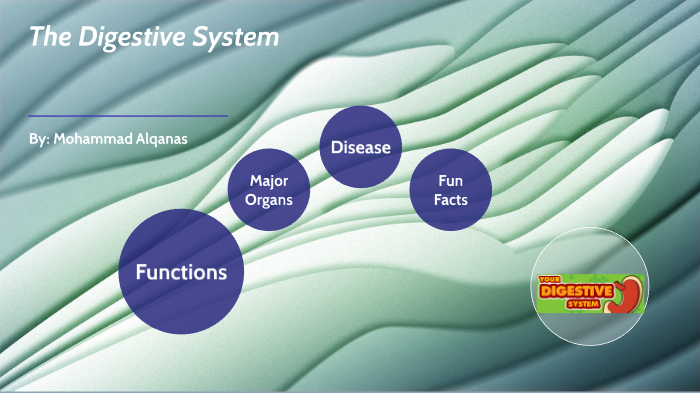 the digestive system by ali alqanas on Prezi
