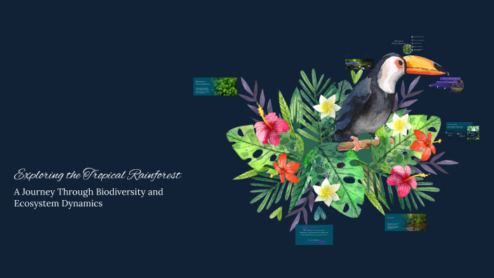 Exploring the Tropical Rainforest by ava Gandolfo on Prezi