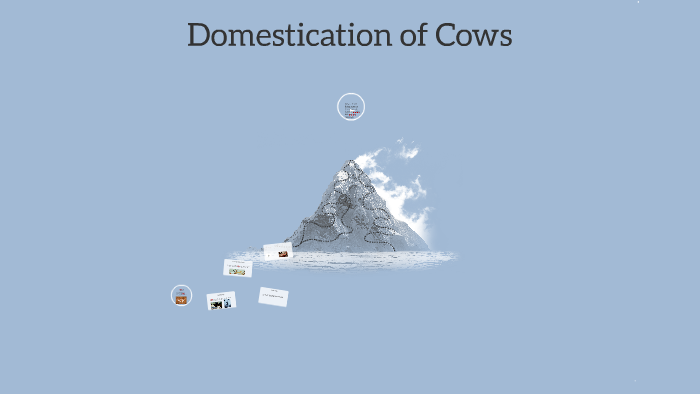 Ancient Cows by Joseph Dean on Prezi
