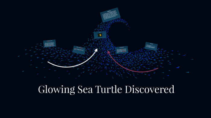 Glowing Sea Turtle Discovered by Reese Campbell on Prezi