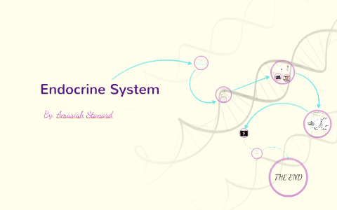 Endocrine System by Amariah Stanard