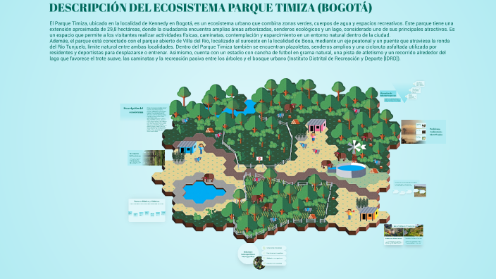 Descripción del Ecosistema del Parque Timiza en Bogotá by Lizeth Conde ...