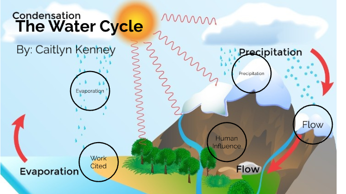 The Water Cycle by Caitlyn Kenney on Prezi