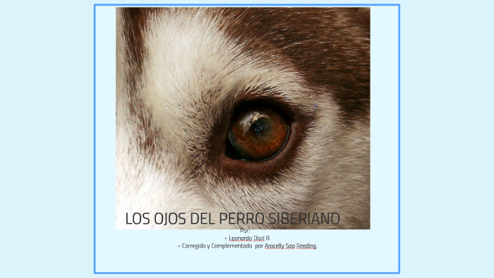 Los Ojos Del Perro Siberiano-LeoDB11° by Chely Saa on Prezi